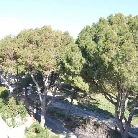 Les Pins 3 Daire Narbonne