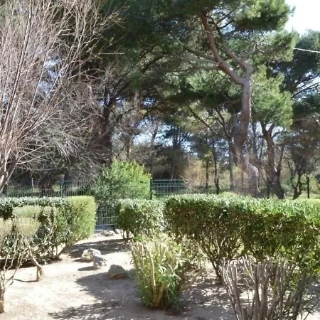 Les Pins 3 Narbonne
